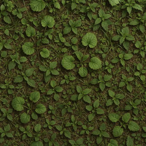 Optimizing PBR Texture Workflows for Photorealistic Vegetation and Foliage article cover for PBR texture workflow