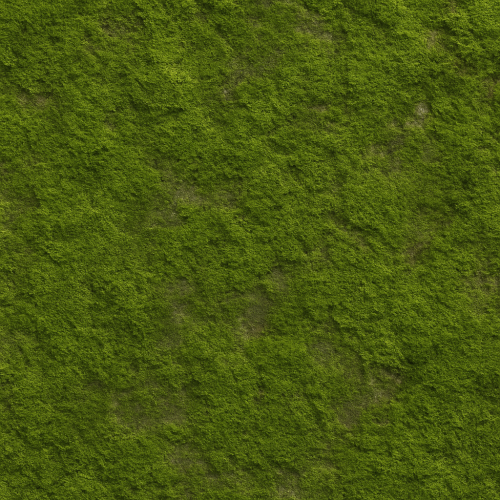 Expert Guide to Moss Textures for Realistic PBR Workflows in Games and Archviz