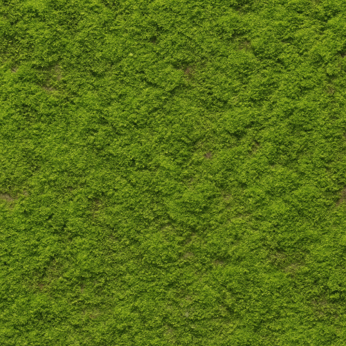 Comprehensive Guide to Moss Textures for Photorealistic PBR Workflows