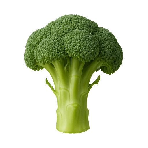 Preview — Fresh Green Broccoli Floret