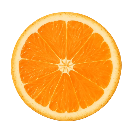 Preview — Fresh Orange Slice