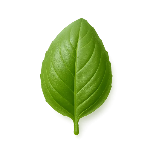 Preview — Fresh green basil leaf