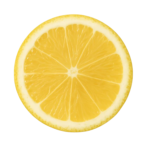Preview — fresh lemon slice