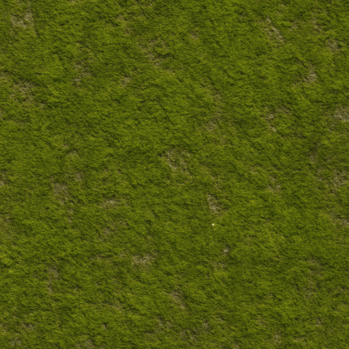 Expert Guide to Creating and Using Moss Textures for PBR Workflows