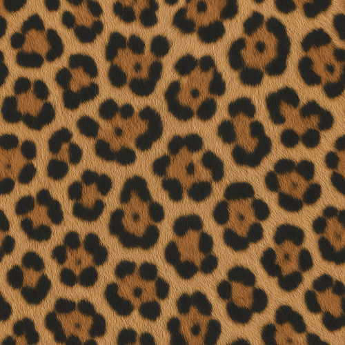 Expert Guide to Leopard Print Seamless PBR Textures for 3D Materials