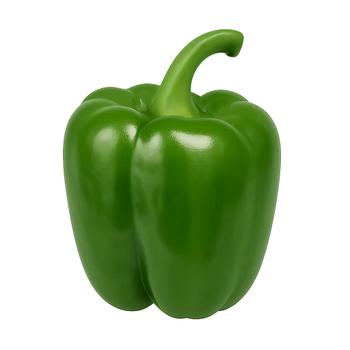 Preview — Fresh Green Bell Pepper