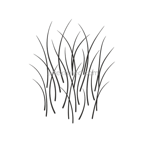 AI-Generated Seamless PBR Texture — ultra-realistic macro photo of multiple fine body hair strands natural black with…