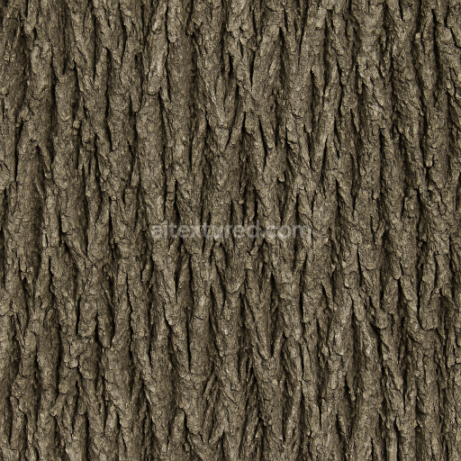 Preview — AI-Generated Seamless PBR Texture — Elm tree bark
