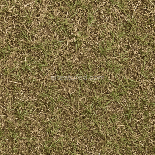 AI-Generated Seamless PBR Texture — hyper-realistic european short meadow grass, low moisture look, natural colours