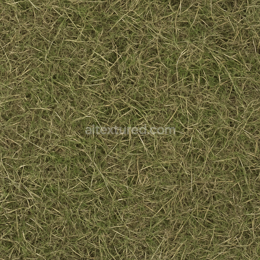 Free textures AI-Generated Seamless PBR Texture — hyper-realistic european grass, low moisture look, natural colours, not too saturat…  free download