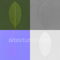 Generated seamless Isolated Mango Leaf Texture (PBR) Base Color, Roughness, Normal and AO, Photorealistic, for Speed ​​Tree texture 1024x1024 PBR