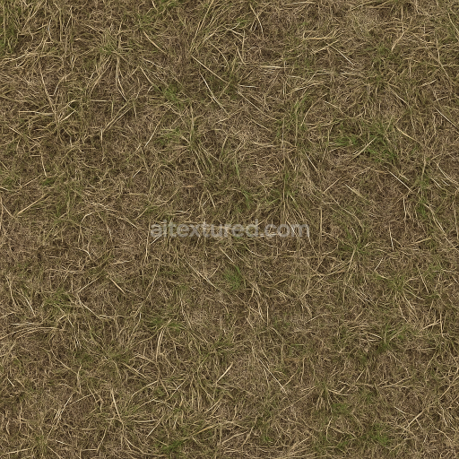 AI-Generated Seamless PBR Texture — hyper-realistic, scaned european grass, low moisture look, natural colours, not too…