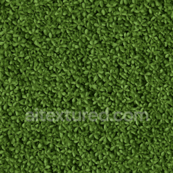seamless AI-Generated Seamless PBR Texture — Realistic seamless PBR hedge texture, dense green foliage, small leaves, soft shado… texture 8k free download PBR