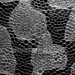 seamless Seamless 3D PBR Reptilian Scale Skin Texture with High Detail and Gloss texture 8k free download PBR