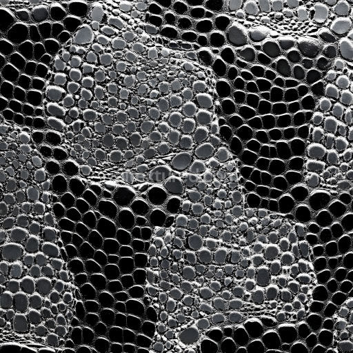 Seamless 3D PBR Reptilian Scale Skin Texture with High Detail and Gloss