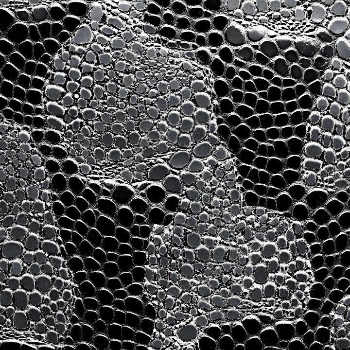 Reptilian Scale Skin with High Detail and Gloss seamless PBR texture preview