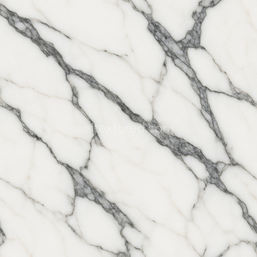Calacatta Marble Bold Veins