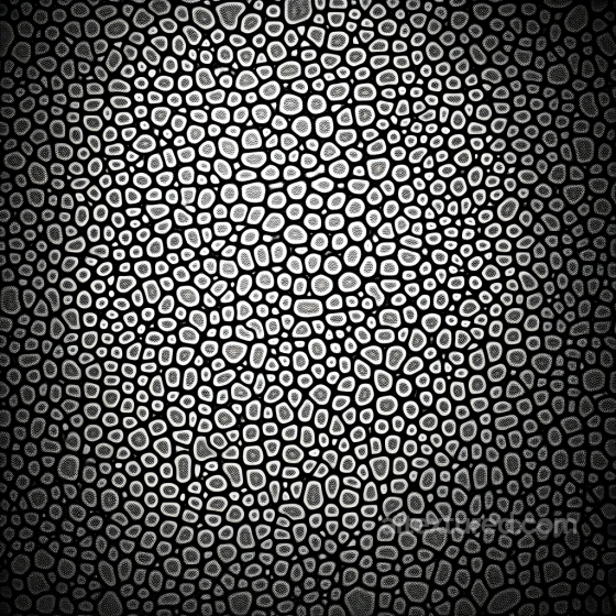 Skin PBR Texture with Stylized Cracked Pattern and Fine Pore Details Skin texture preview