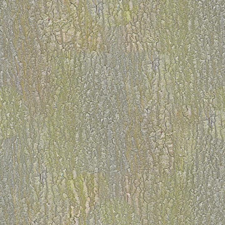 Bark 007 By Textures seamless PBR texture preview