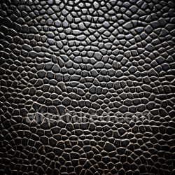 seamless Seamless 3D Reptilian Scale Skin PBR Texture Featuring Deep Crevices and Organic Pattern texture 8k free download PBR