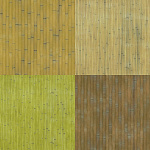 Bamboo
