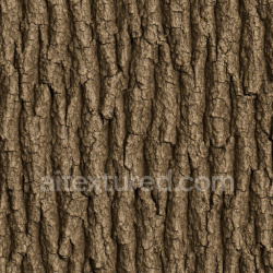 seamless Fine Oak Bark Texture Seamless 1024X1024 texture 1024x1024 free download PBR