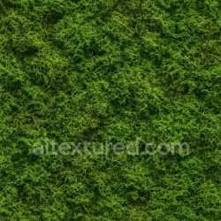 seamless Decorative Forest Moss Texture Seamless texture 8k free download PBR