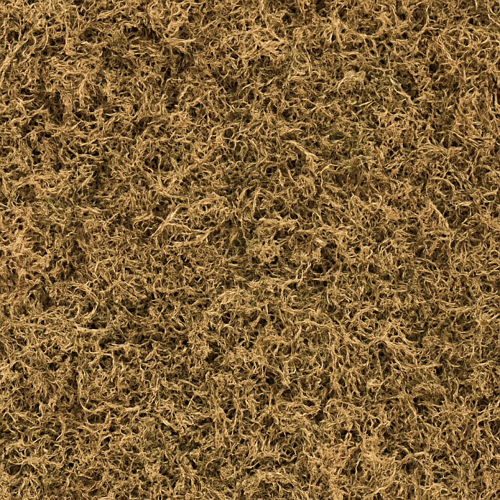 Dry Moss seamless PBR texture preview