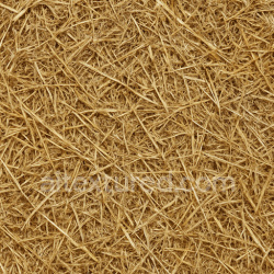 seamless Photorealistic Farm Hay Seamless Texture texture 1024x1024 free download PBR