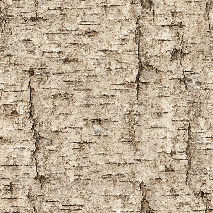Worn Birch Wood seamless PBR texture preview