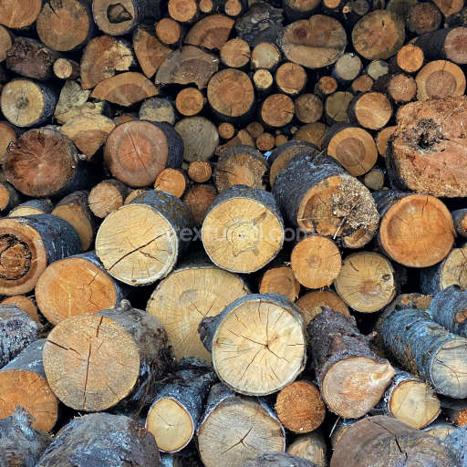 High-Resolution PBR Texture of Wood Logs Cross-Sections