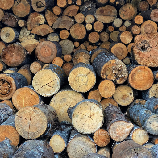 PBR Texture of Wood Logs Cross-Sections seamless Wood PBR texture