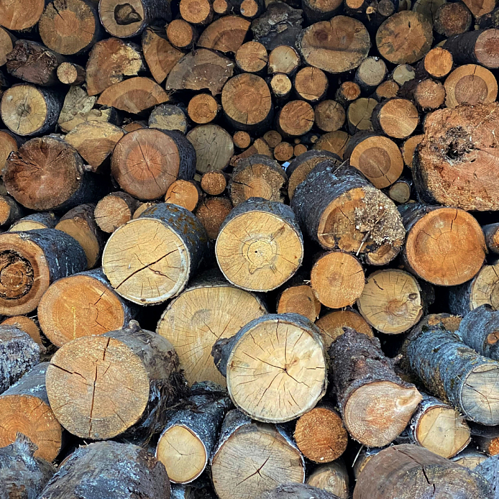 of Wood Logs Cross-Sections seamless PBR texture preview