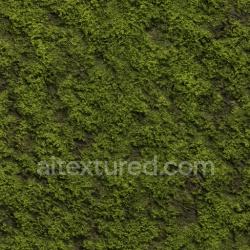 seamless Rough Forest Moss Texture Seamless 1024X1024 texture 1024x1024 free download PBR