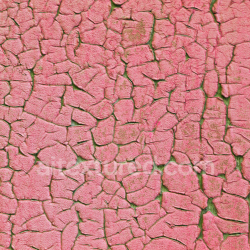seamless Painted Plaster Texture Featuring Cracked Pink Surface Detailing texture 8k free download PBR