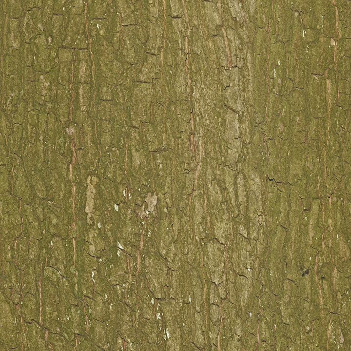 Bark 008 By Textures seamless PBR texture preview