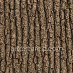 seamless Rough Oak Bark Texture Seamless texture 8k free download PBR