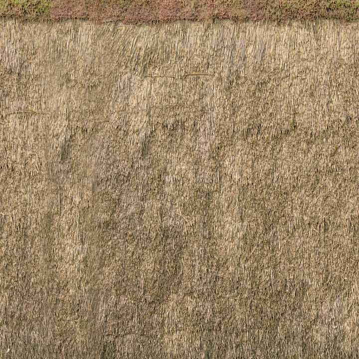 Reed Rough Village - Reed Roof Reed Rough Village Thatch seamless PBR texture preview
