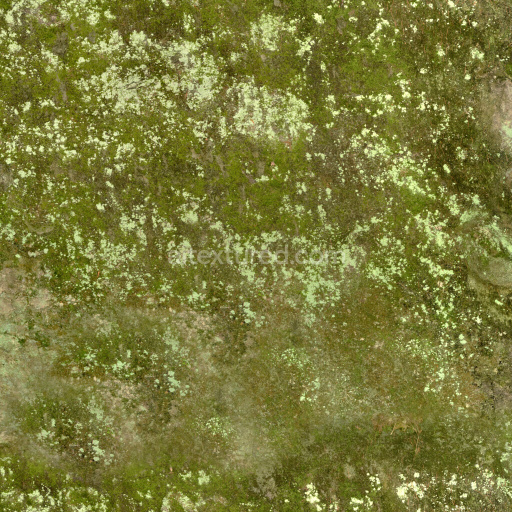 Rock Seamless Pbr Texture Natural Surface Stone