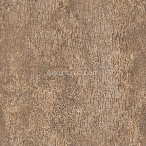 Japanese Camphor Bark — Bark Japanese Japanese Forest Organic — PBR seamless 3D texture