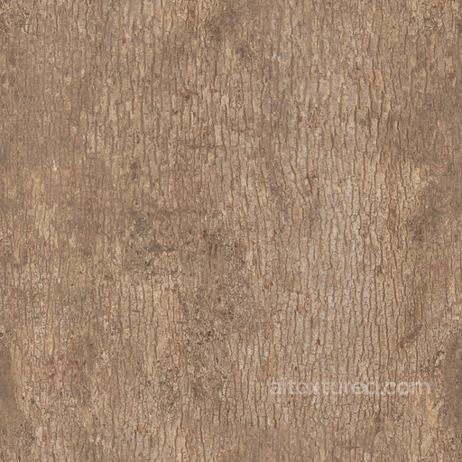 Japanese Camphor Bark - Bark Japanese Japanese Forest Organic seamless Bark PBR texture