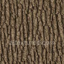 seamless Detailed Oak Bark Texture Seamless texture 8k free download PBR