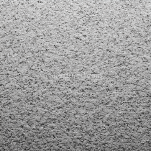 Seamless 3D Felt PBR Texture Showing Soft Gray Dense Fibers with Subtle Mottling