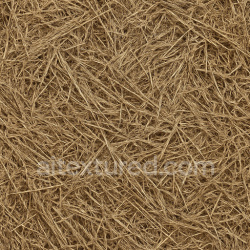seamless Coarse Dried Grass Seamless Texture texture 1024x1024 free download PBR