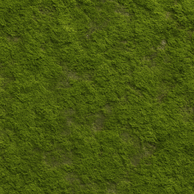 Expert Guide to Moss Textures for Realistic PBR Workflows in Games and Archviz
