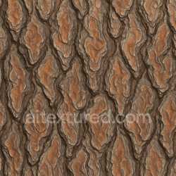 seamless Ornate Pine Bark Texture Seamless texture 8k free download PBR