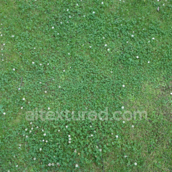 seamless Seamless PBR Ground Texture Featuring Dense Grass and Small White Flowers texture 8k free download PBR