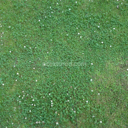 Seamless PBR Ground Texture Featuring Dense Grass and Small White Flowers
