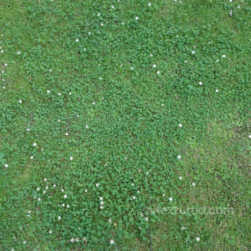 Seamless PBR Ground Texture Featuring Dense Grass and Small White Flowers seamless Ground surface PBR texture