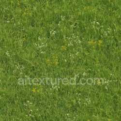 seamless Natural Meadow Texture texture 8k free download PBR